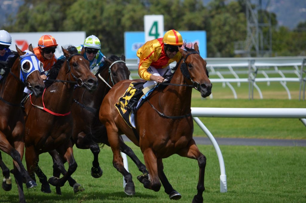 Group 1 Moir Stakes Preview