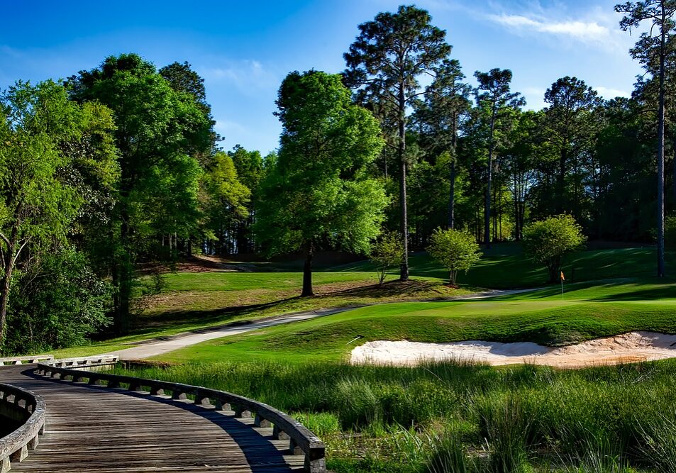 magnolia-golf-course-1613270_1280 magnolia-golf-course-1613270_1280
